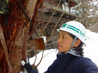 弘前市 都市環境部 公園緑地課 チーム桜守　橋場　真紀子さん